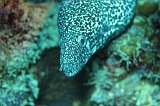 Curacao 04-12 438